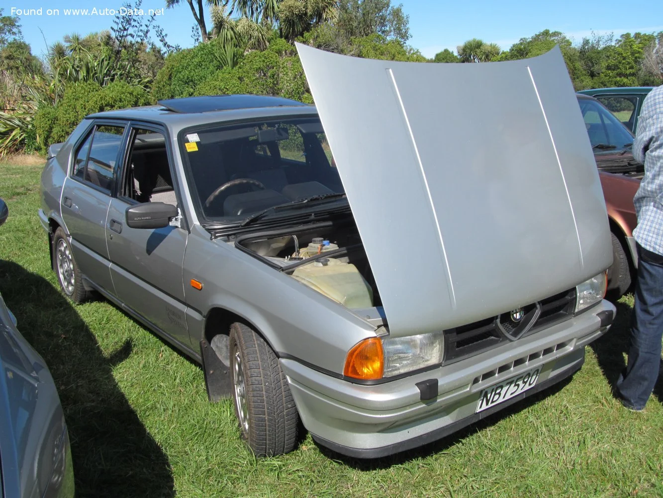 Alfa Romeo 33 1.3 (68 Hp)1983 - 1989 thumbnail 9