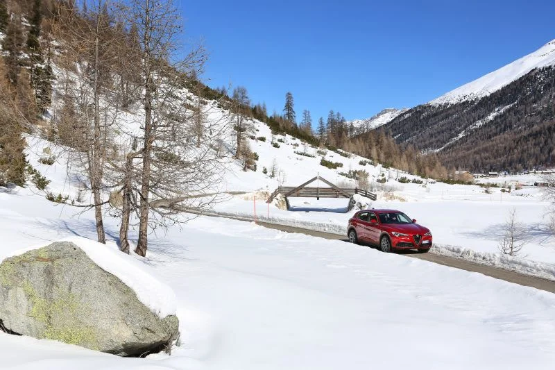 Alfa Romeo Stelvio 2.0 (200 Hp) AWD Automatic2017 - 2018 thumbnail 12