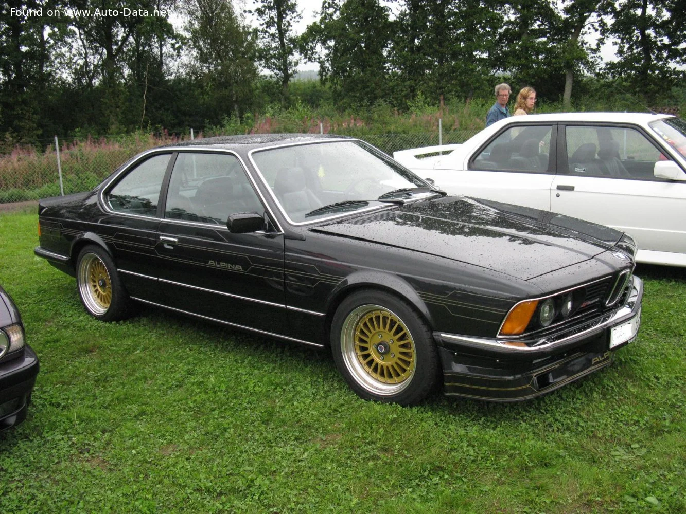 Alpina B7 3.0 (301 Hp)1978 - 1982 thumbnail 6