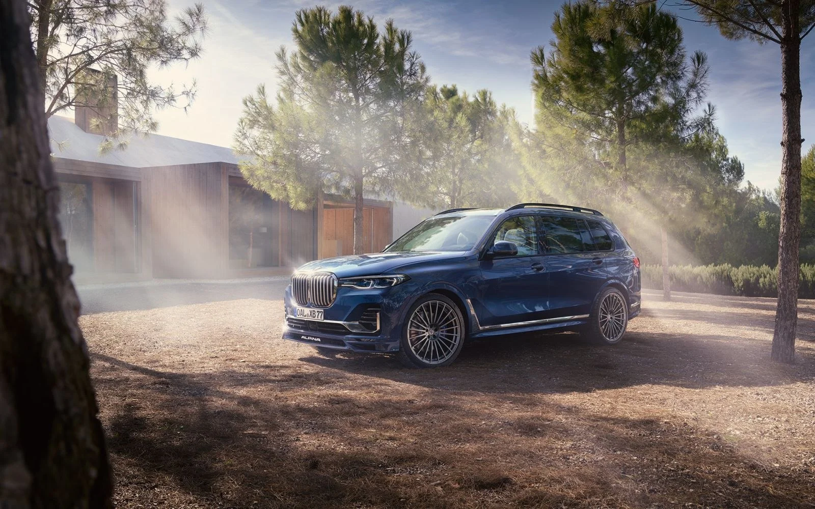 Alpina XB7 4.4 V8 (621 Hp) xDrive Switch-Tronic2020 - 2022 - 1