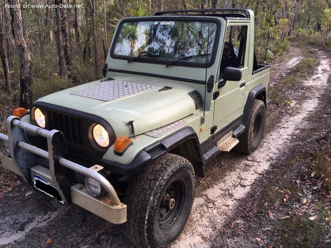 Asia Rocsta 1.8 i 4x4 (86 Hp)1993 - 1997 - 1
