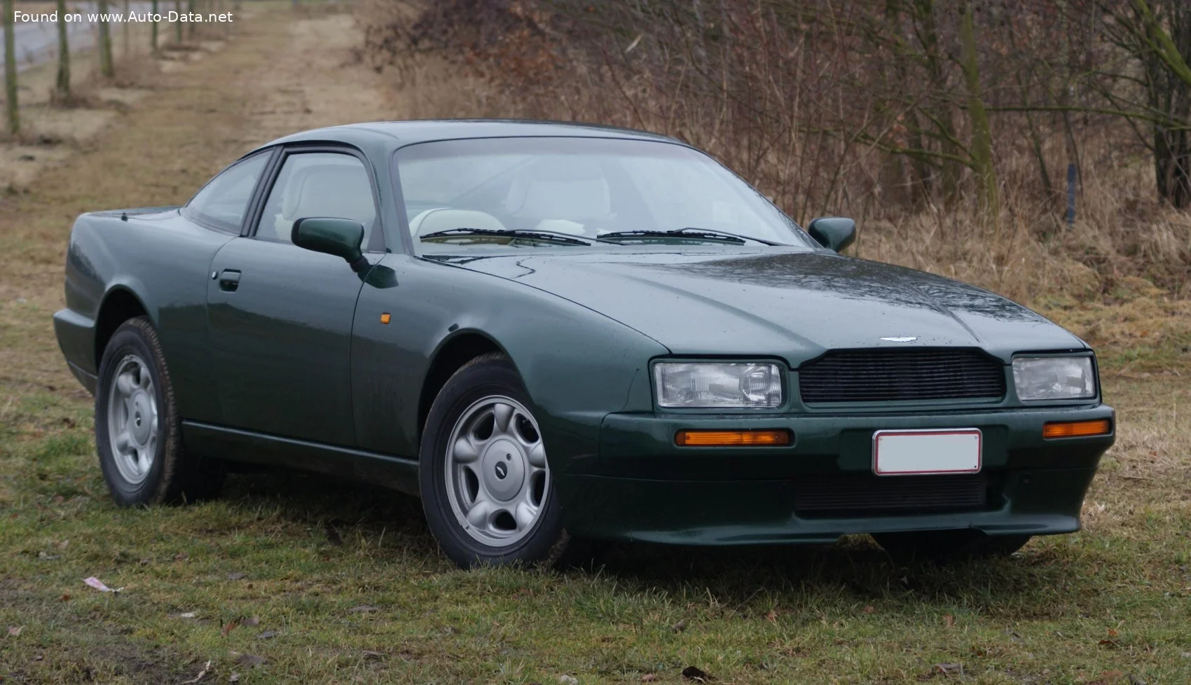 Aston Martin Virage 5.3 (336 Hp) Automatic1990 - 1995 thumbnail 10