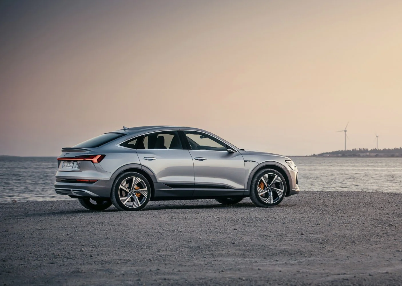 Audi e-tron 50 71 kWh (313 Hp) quattro2020 - 2022 thumbnail 2