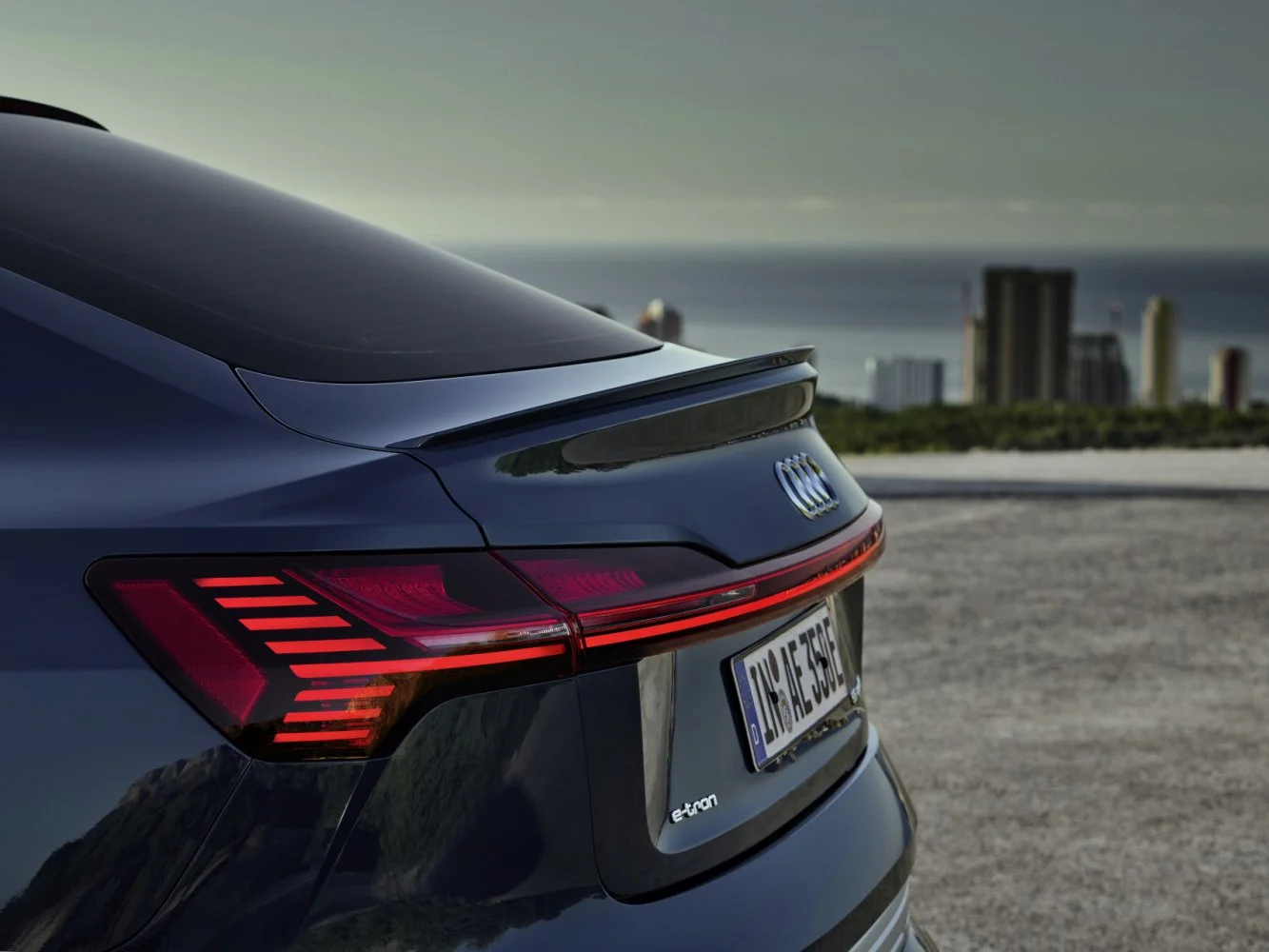Audi e-tron 50 71 kWh (313 Hp) quattro2020 - 2022 thumbnail 14