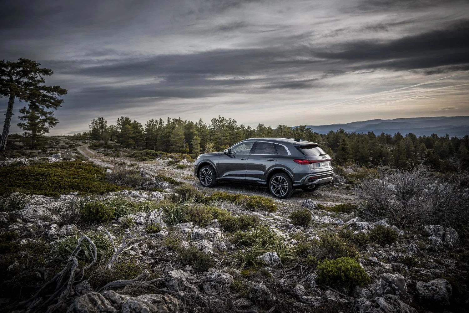 Audi Q5 2.0 TDI (204 Hp) Mild Hybrid plus quattro ultra S tronic2024 - thumbnail 11