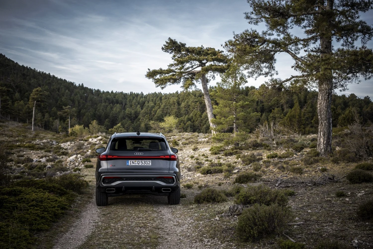 Audi Q5 2.0 TDI (204 Hp) Mild Hybrid plus quattro ultra S tronic2024 - thumbnail 12