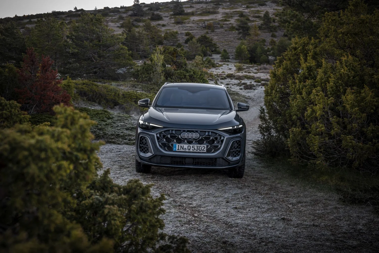 Audi Q5 2.0 TDI (204 Hp) Mild Hybrid plus quattro ultra S tronic2024 - thumbnail 7