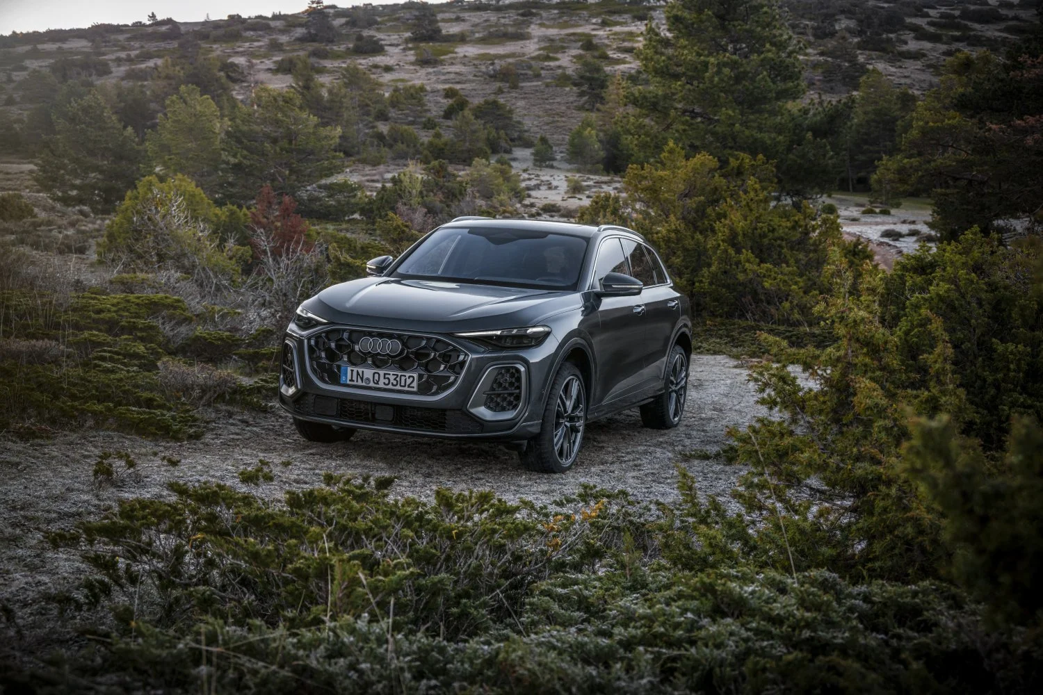 Audi Q5 2.0 TDI (204 Hp) Mild Hybrid plus quattro ultra S tronic2024 - thumbnail 8
