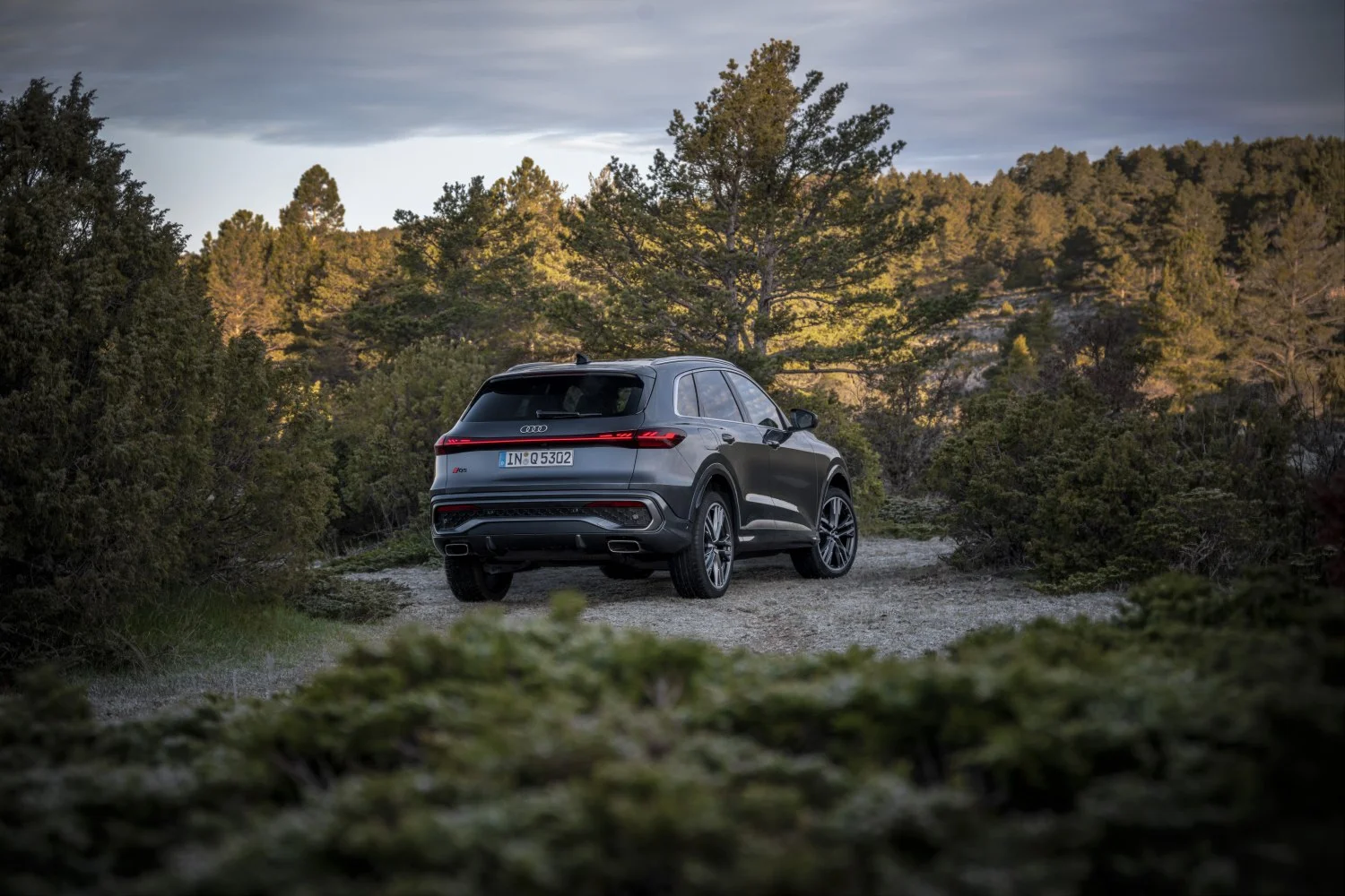 Audi Q5 2.0 TDI (204 Hp) Mild Hybrid plus quattro ultra S tronic2024 - thumbnail 9