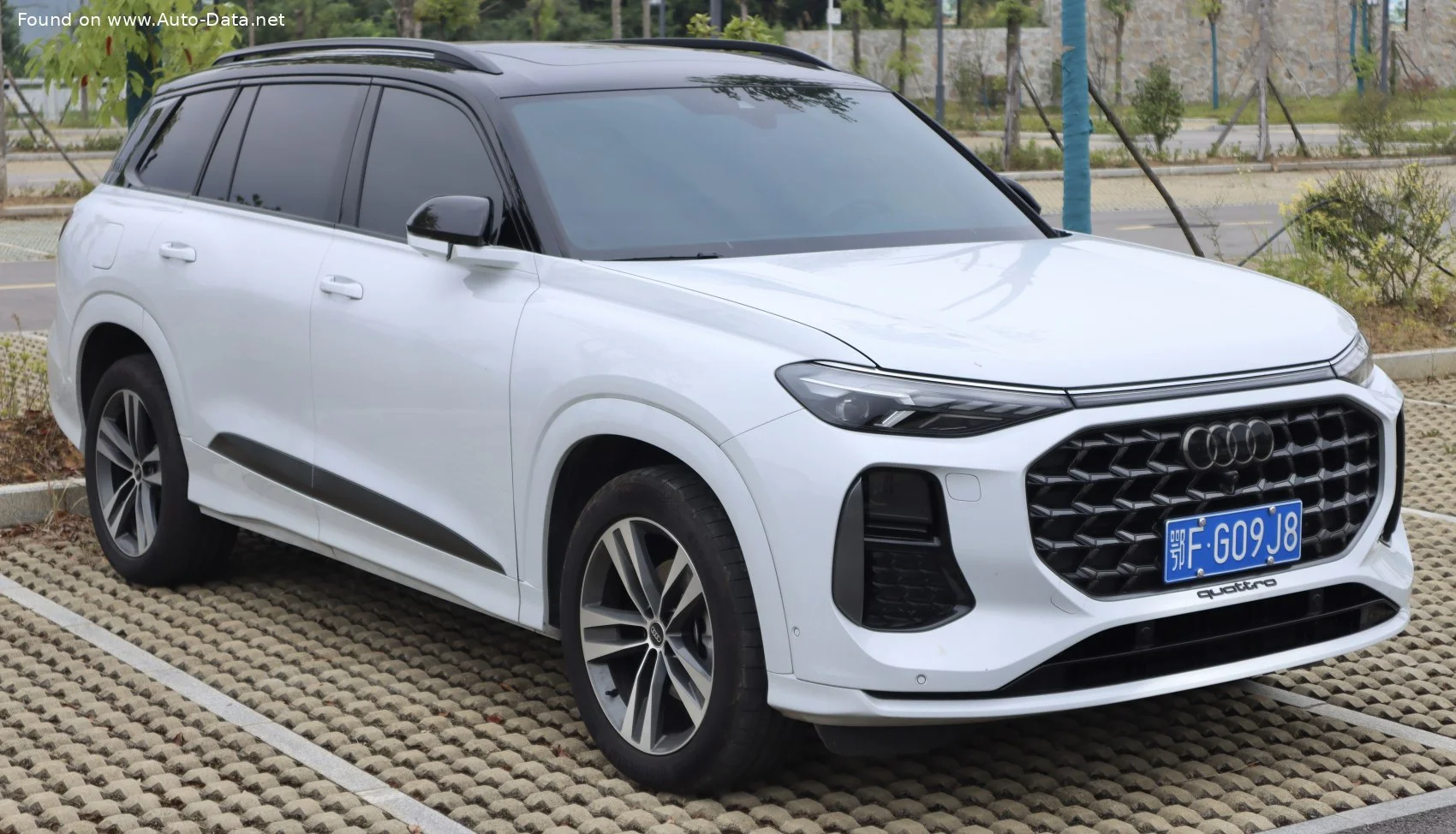 Audi Q6 40 TFSI (231 Hp) quattro S tronic2022 - - 1
