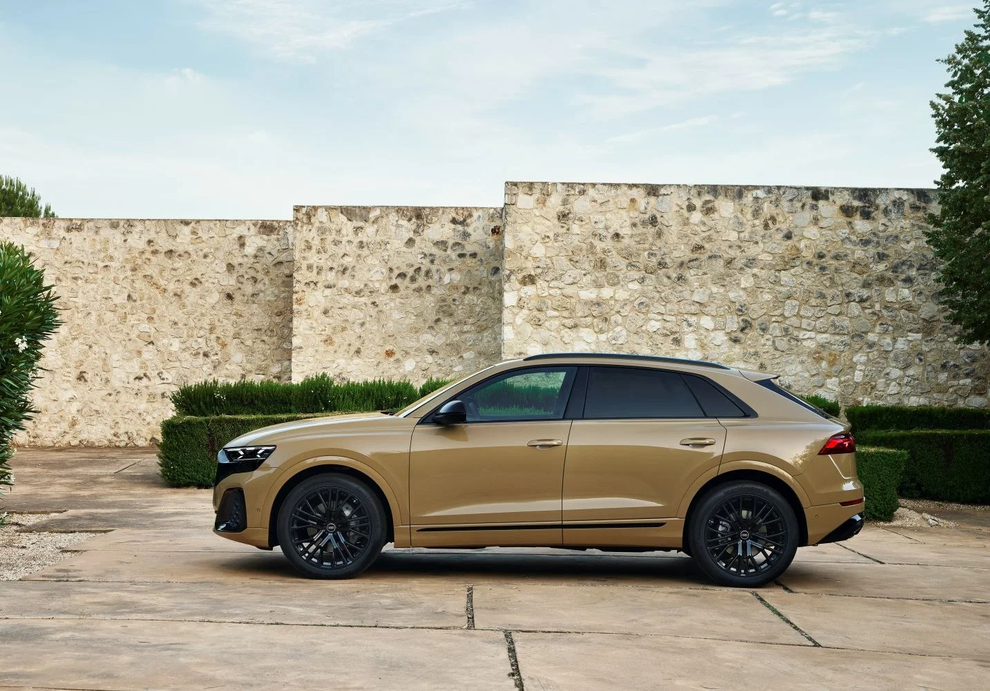 Audi Q8 45 TDI V6 (231 Hp) Mild Hybrid quattro tiptronic2023 - thumbnail 3