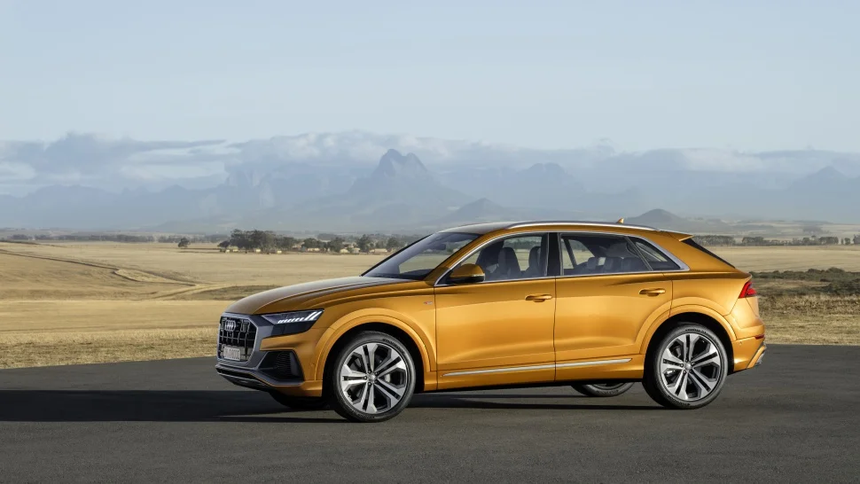 Audi Q8 45 TDI (231 Hp) quattro Mild Hybrid tiptronic2020 - 2023 thumbnail 14