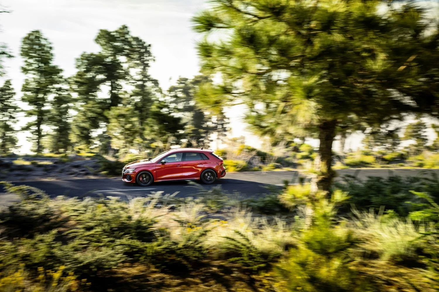 Audi RS3 2.5 TFSI (400 Hp) quattro S tronic2021 - 2024 thumbnail 14