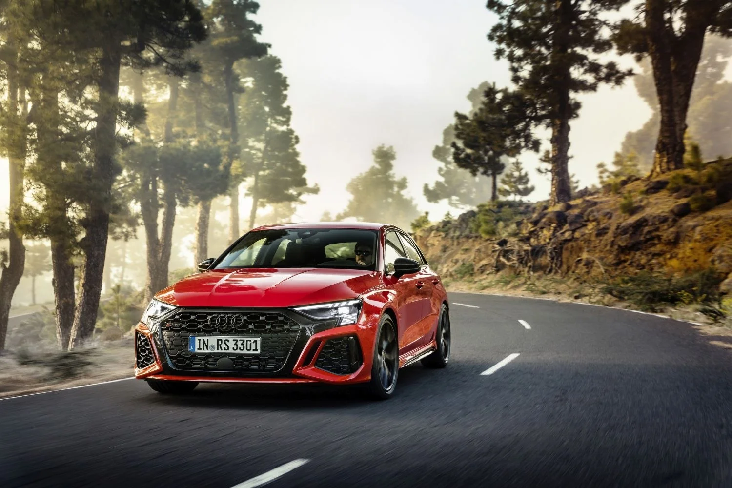 Audi RS3 2.5 TFSI (400 Hp) quattro S tronic2021 - 2024 thumbnail 10