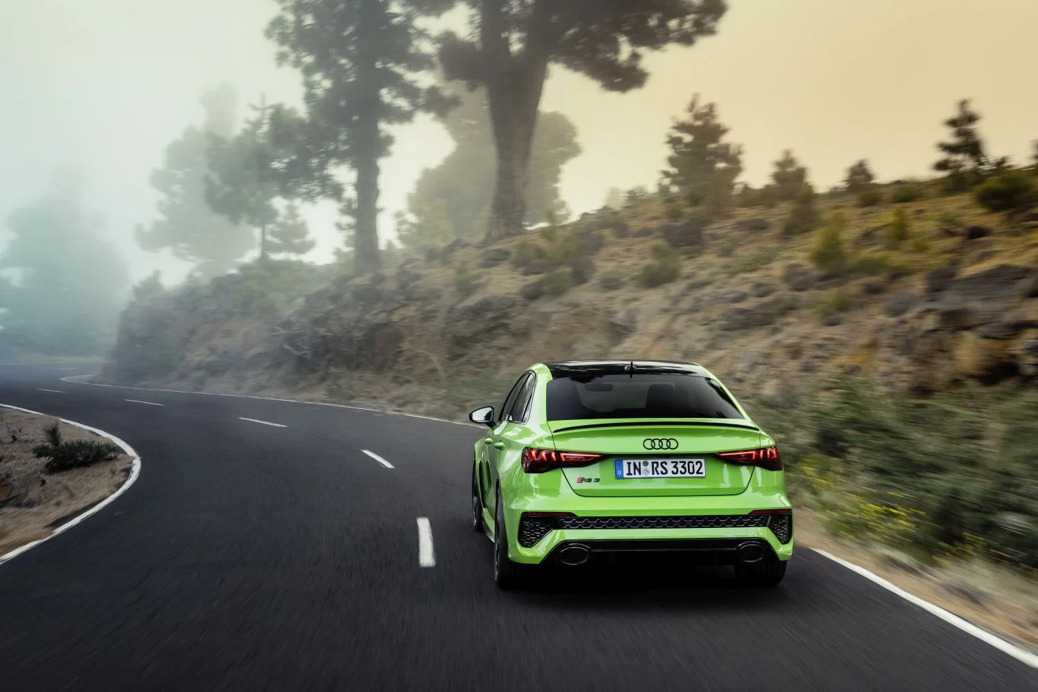 Audi RS3 2.5 TFSI (400 Hp) quattro S tronic2021 - 2024 thumbnail 15