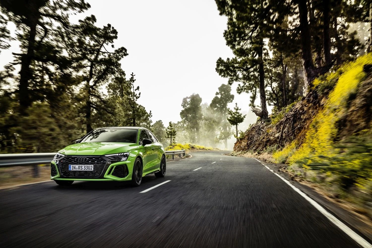 Audi RS3 2.5 TFSI (400 Hp) quattro S tronic2021 - 2024 thumbnail 9