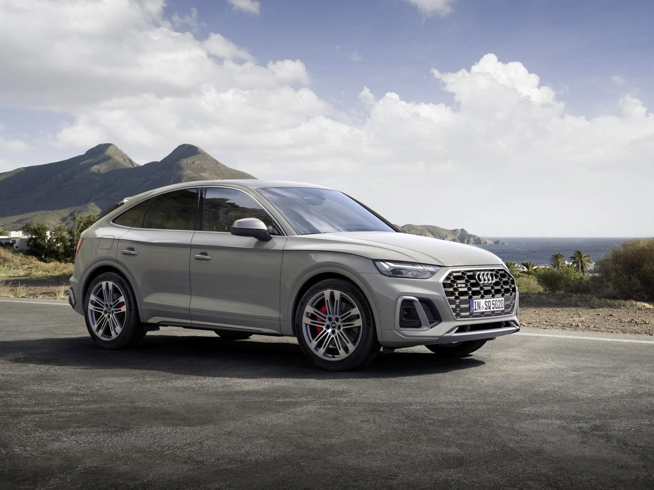 Audi SQ5 3.0 TDI V6 (341 Hp) Mild Hybrid quattro tiptronic2020 - 2024 thumbnail 4