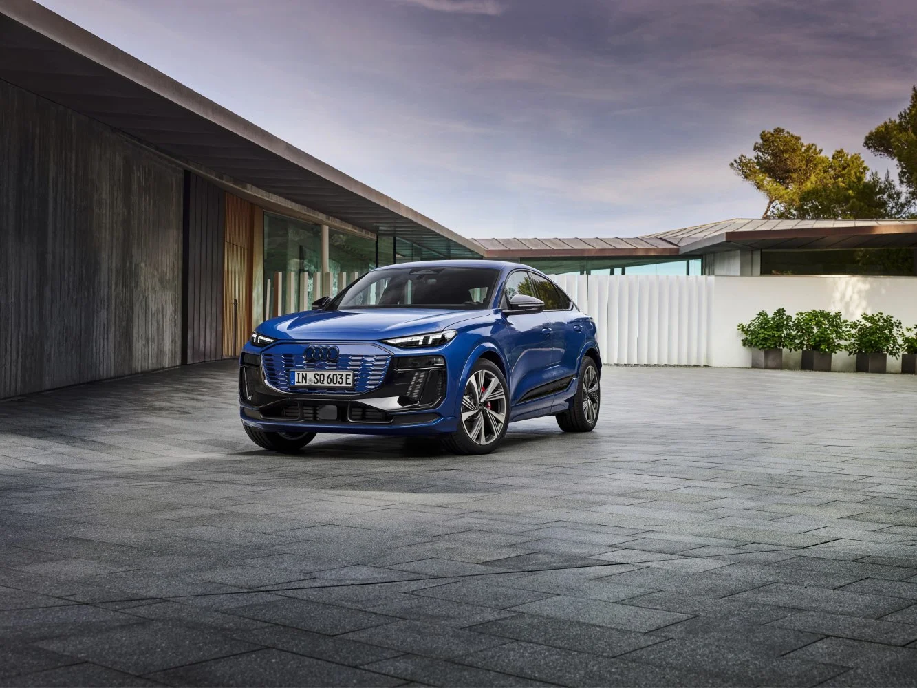 Audi SQ6 e-tron 100 kWh (517 Hp) quattro2024 - thumbnail 5