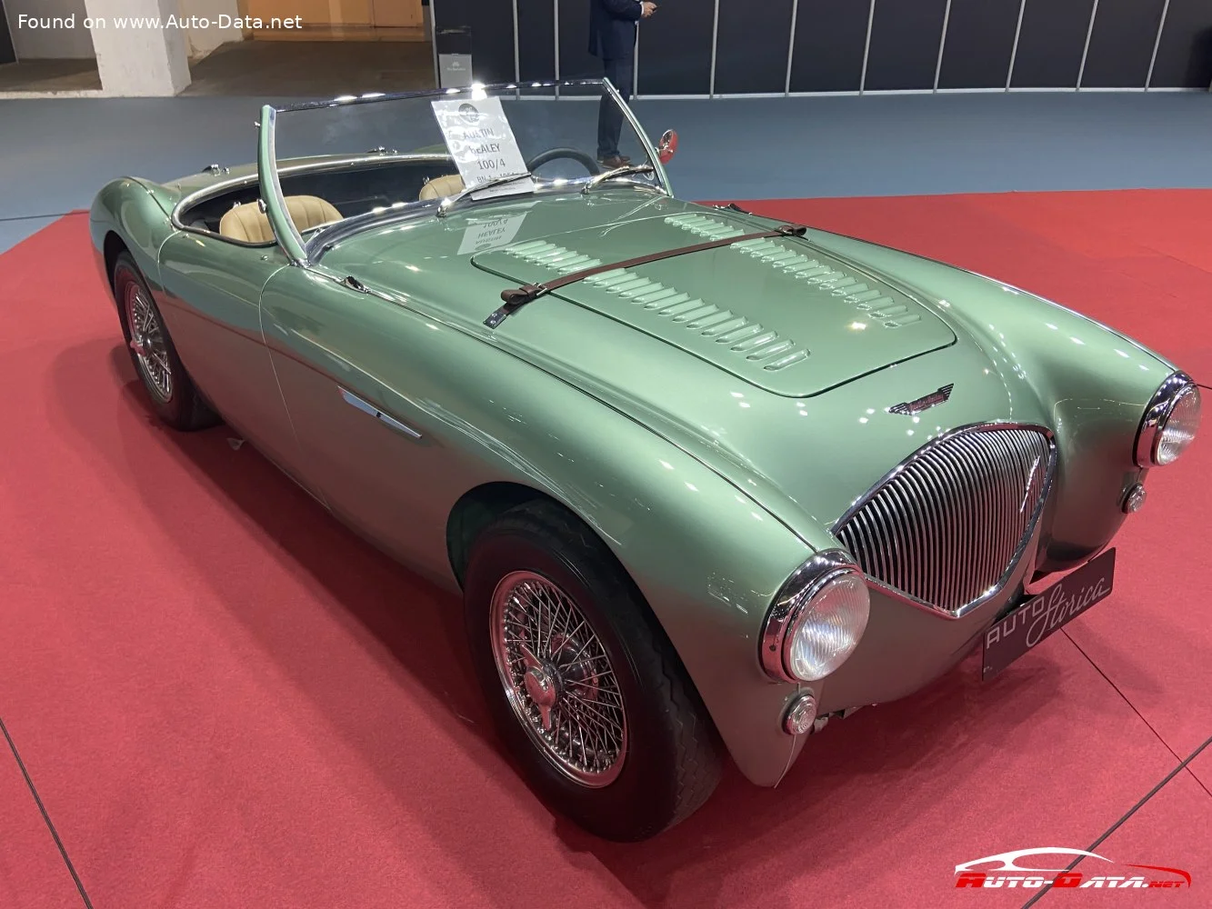 Austin-Healey 100 modeli
