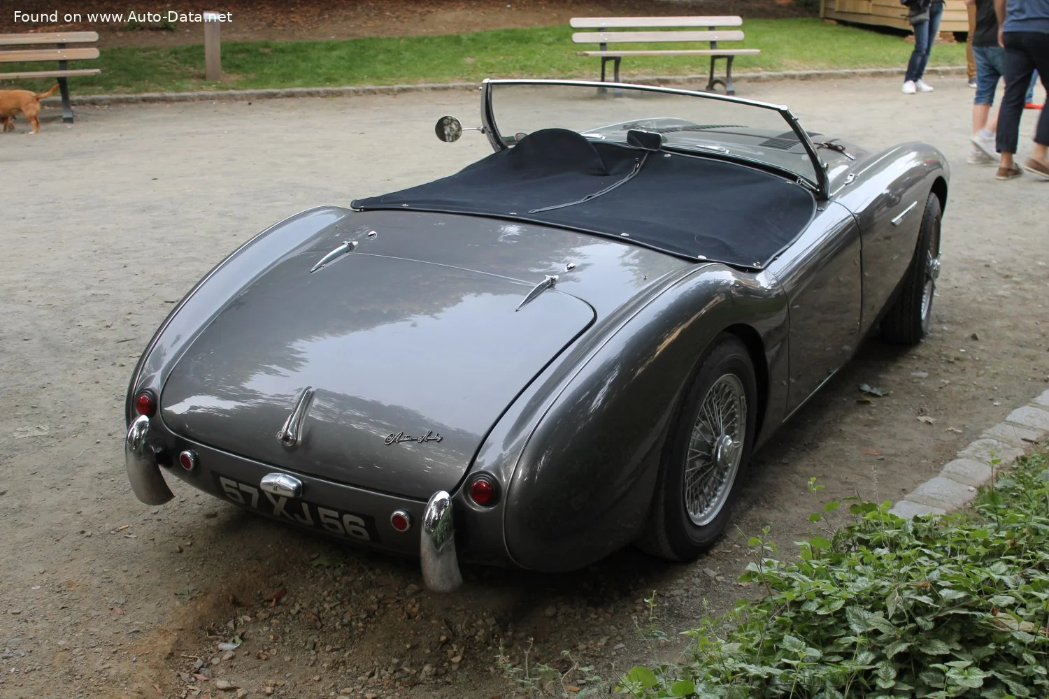 Austin-Healey 100 2.7 (90 Hp)1953 - 1955 thumbnail 5