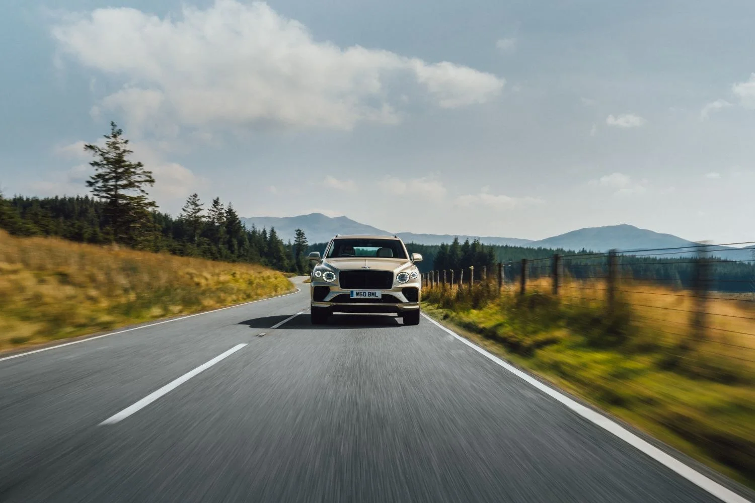 Bentley Bentayga 3.0 V6 TFSi (449 Hp) Plug-in Hybrid AWD Automatic 5 Seat2021 - 2022 thumbnail 12