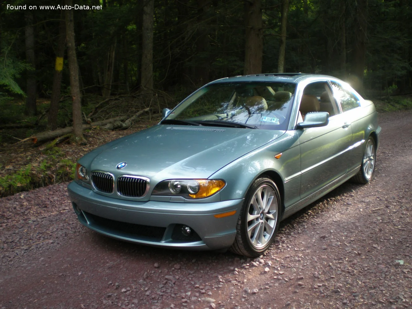 BMW 3 Series 318Ci (143 Hp)2003 - 2006 thumbnail 6