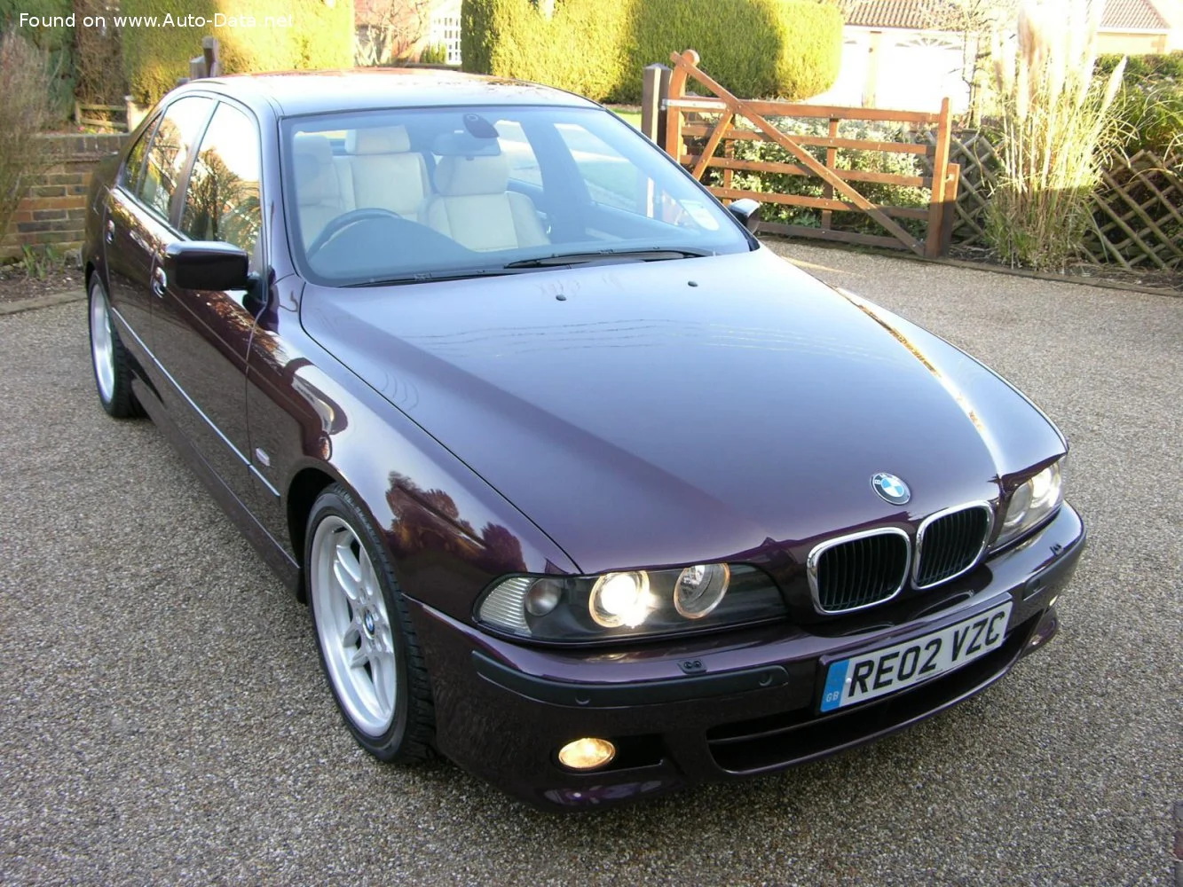 BMW 5 Series 520d (136 Hp)2000 - 2003 thumbnail 3