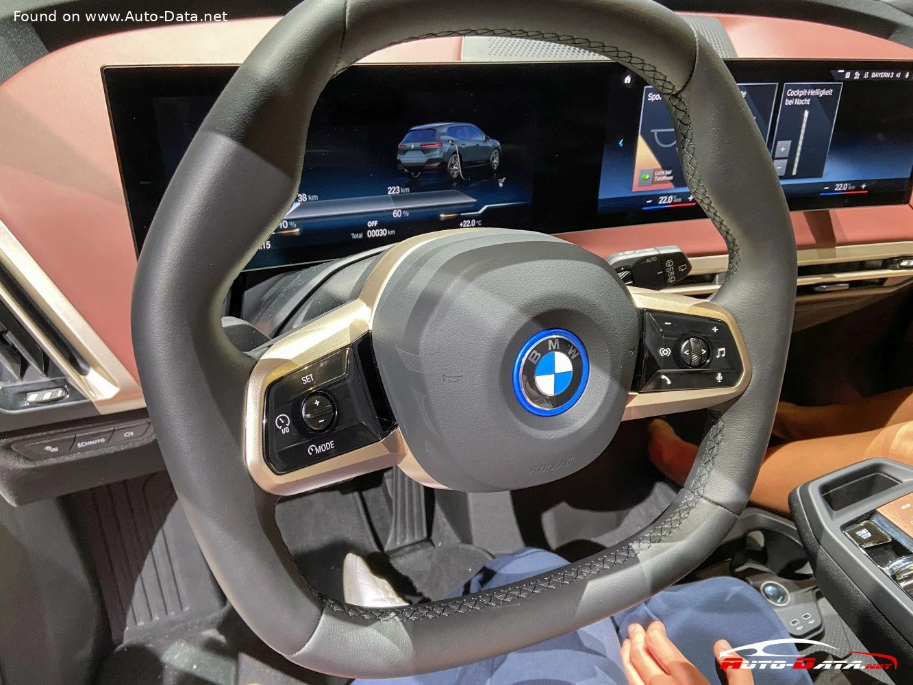 BMW iX 111.5 kWh (523 Hp) xDrive502021 - 2025 thumbnail 11