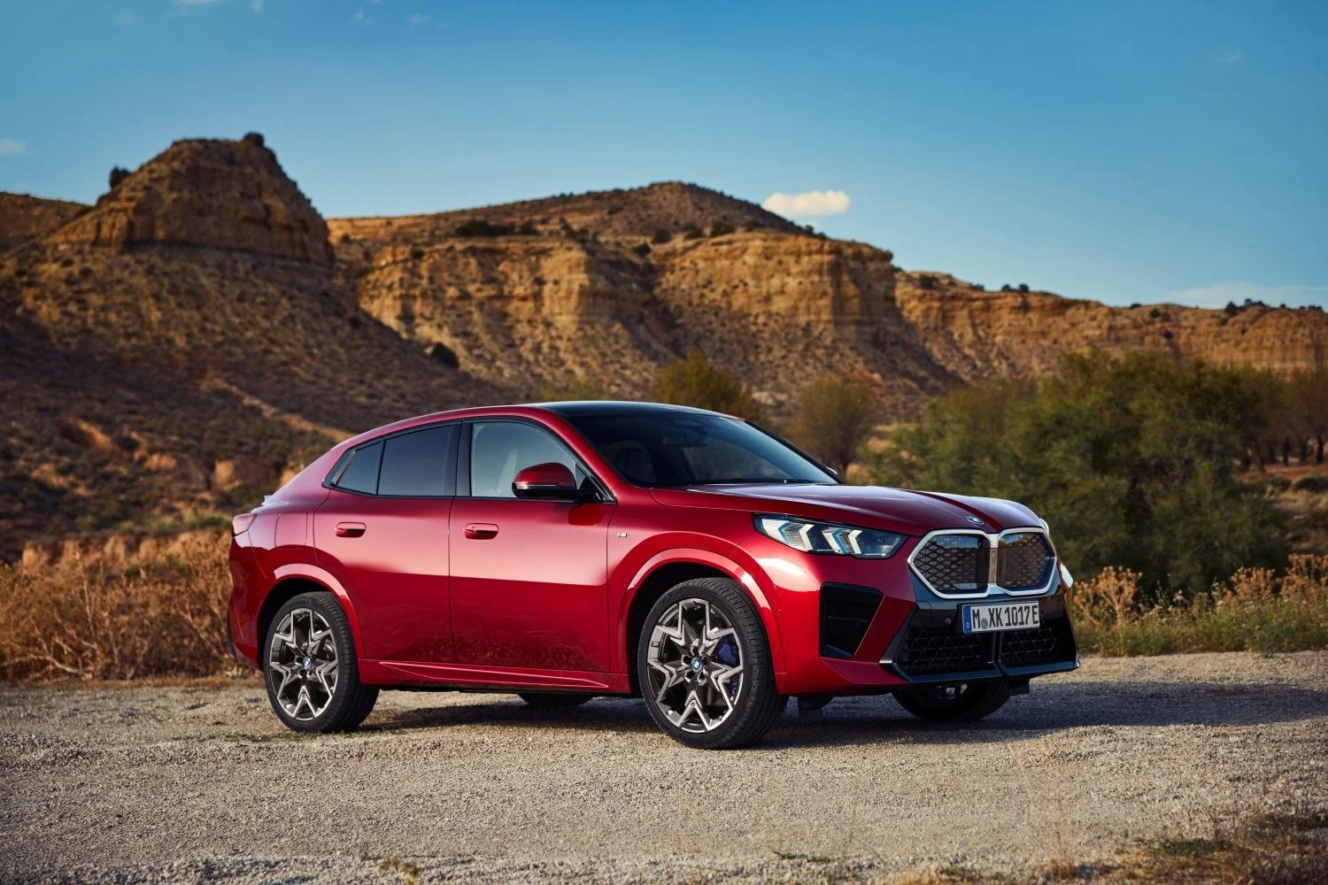 BMW iX2 66.5 kWh (204 Hp) eDrive202024 - - 1