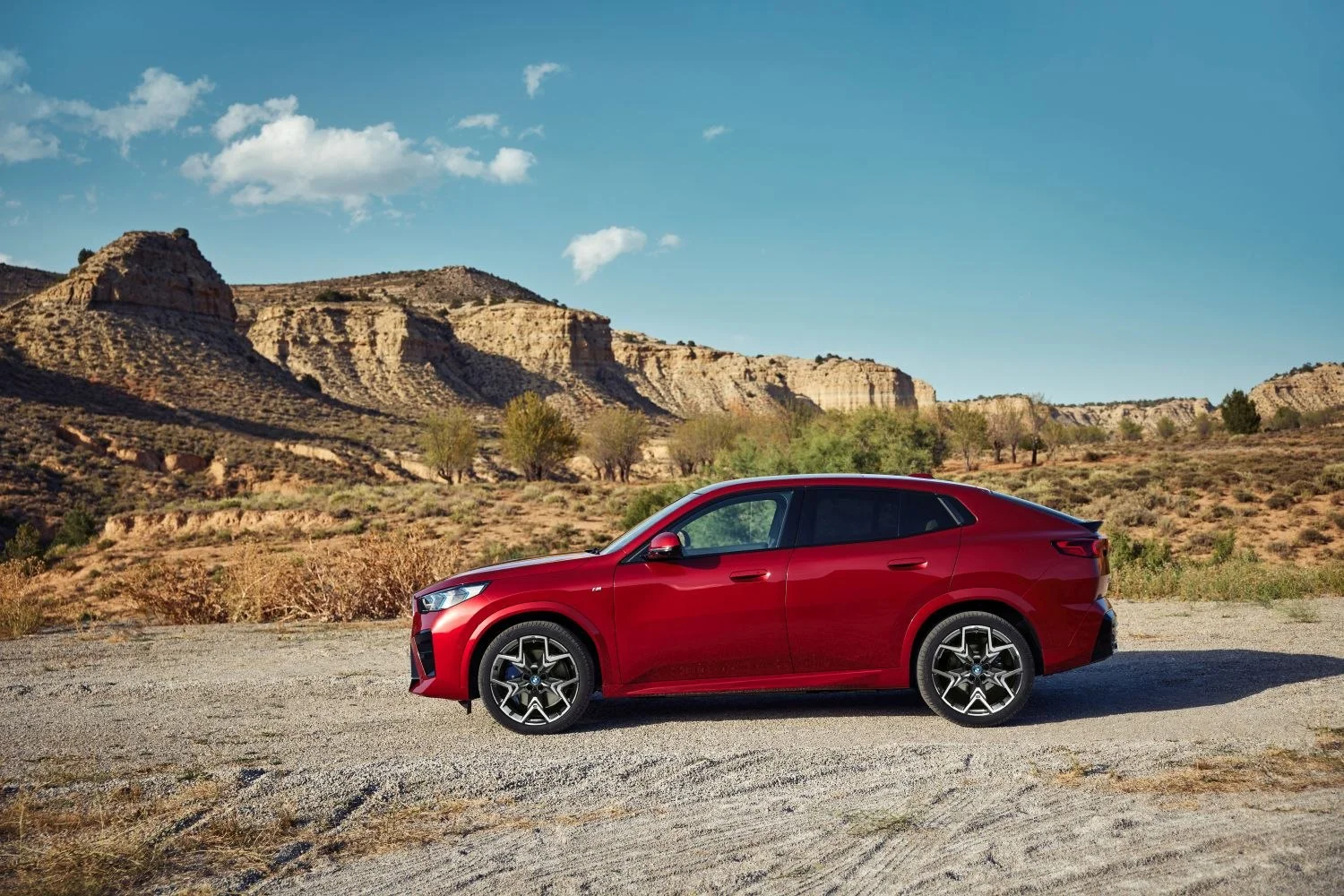 BMW iX2 66.5 kWh (204 Hp) eDrive202024 - thumbnail 8