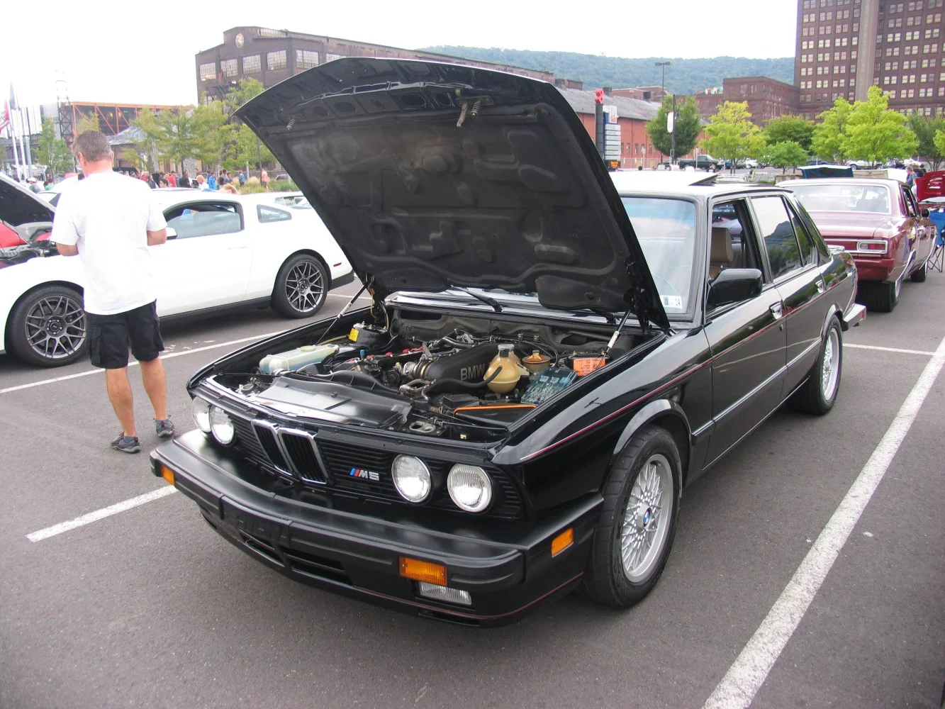 BMW M5 3.5 (286 Hp)1985 - 1987 thumbnail 15