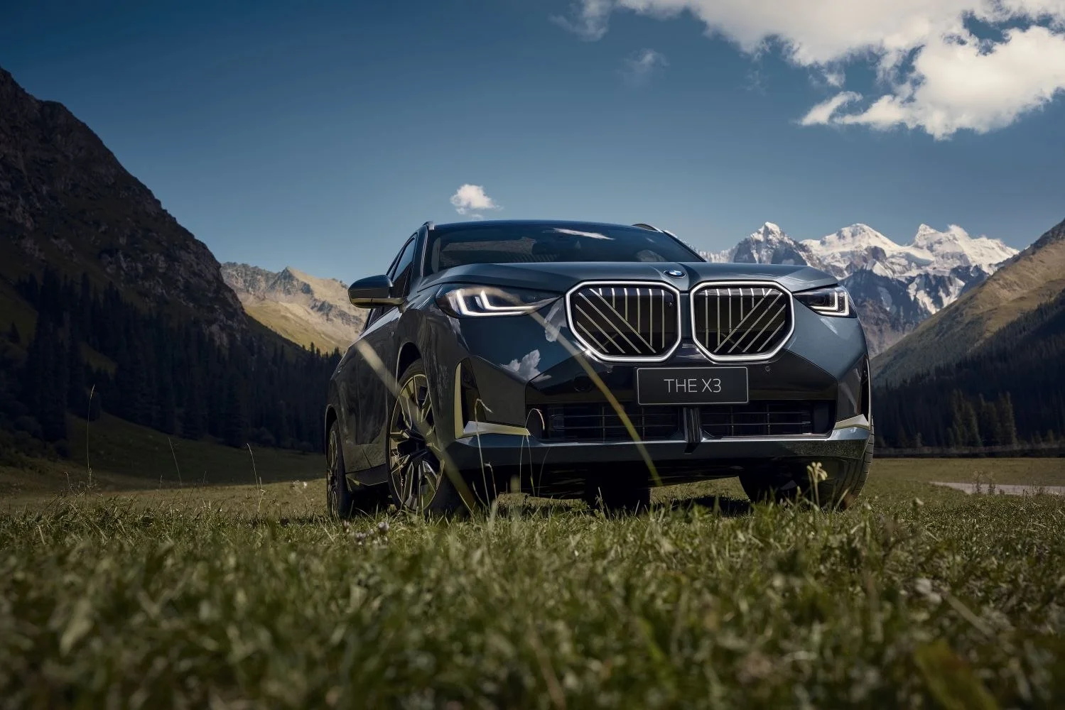 BMW X3 25L (190 Hp) xDrive Steptronic2025 - thumbnail 3