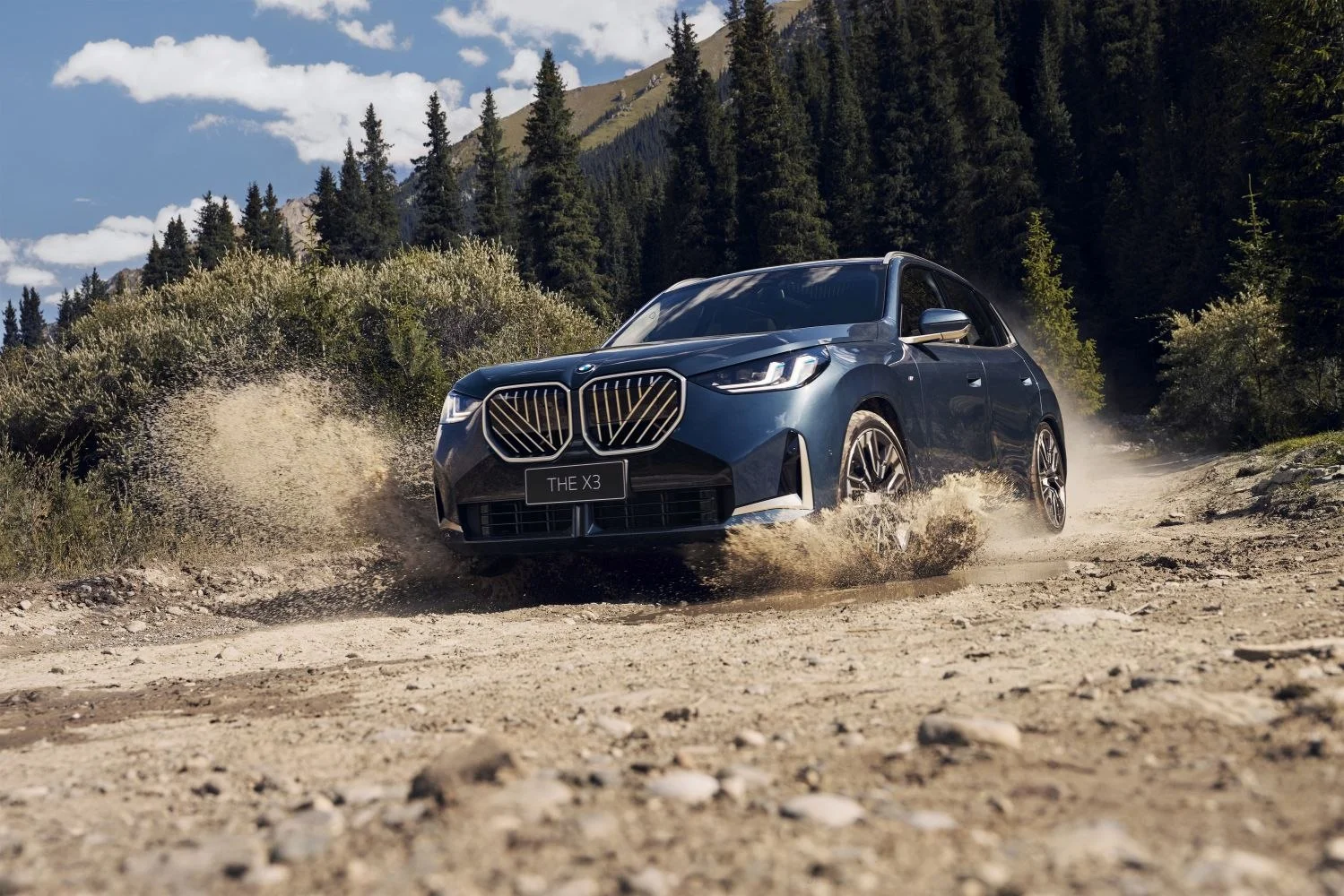 BMW X3 25L (190 Hp) xDrive Steptronic2025 - thumbnail 6