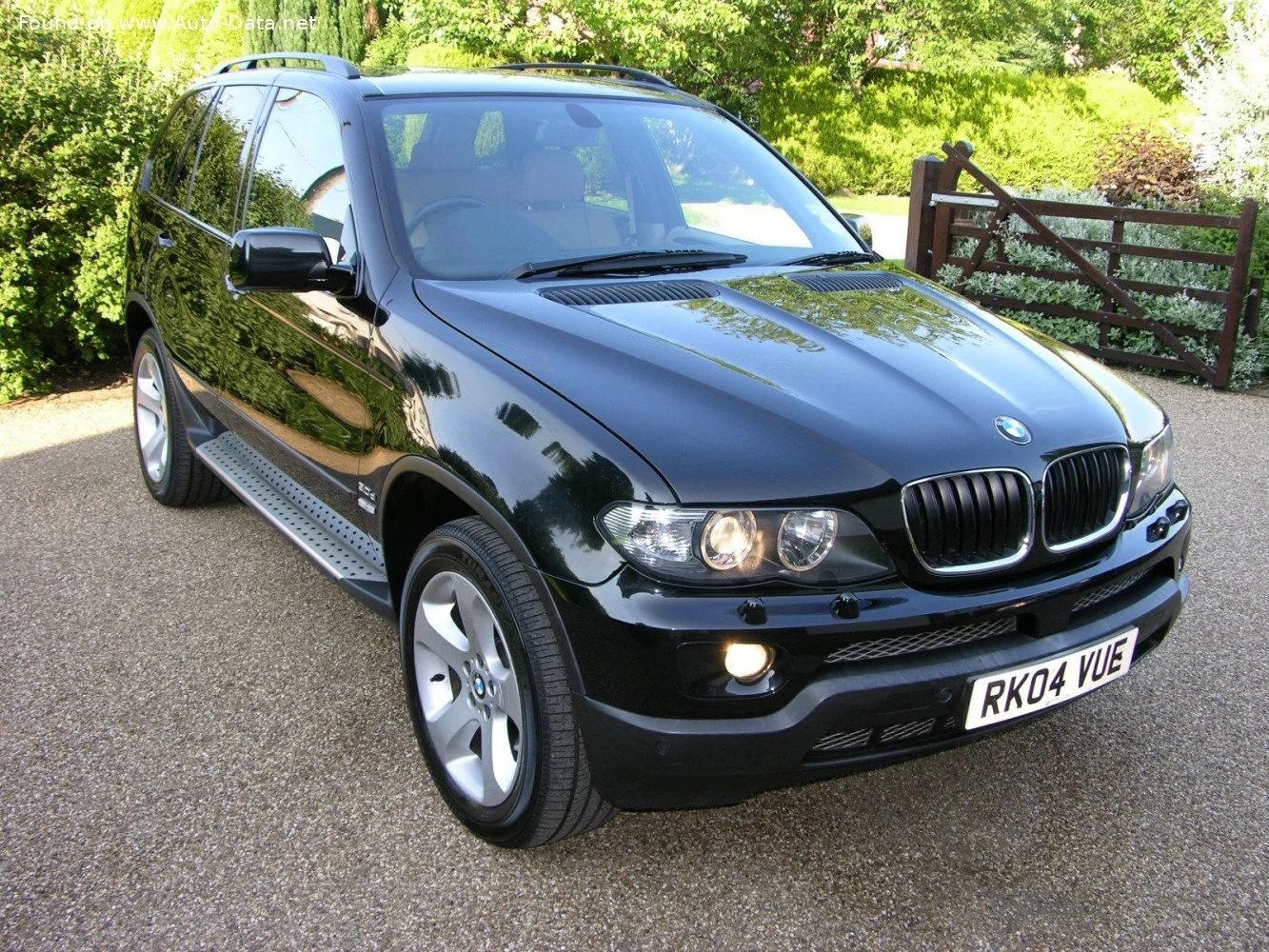BMW X5 3.0d (218 Hp)2003 - 2006 thumbnail 5