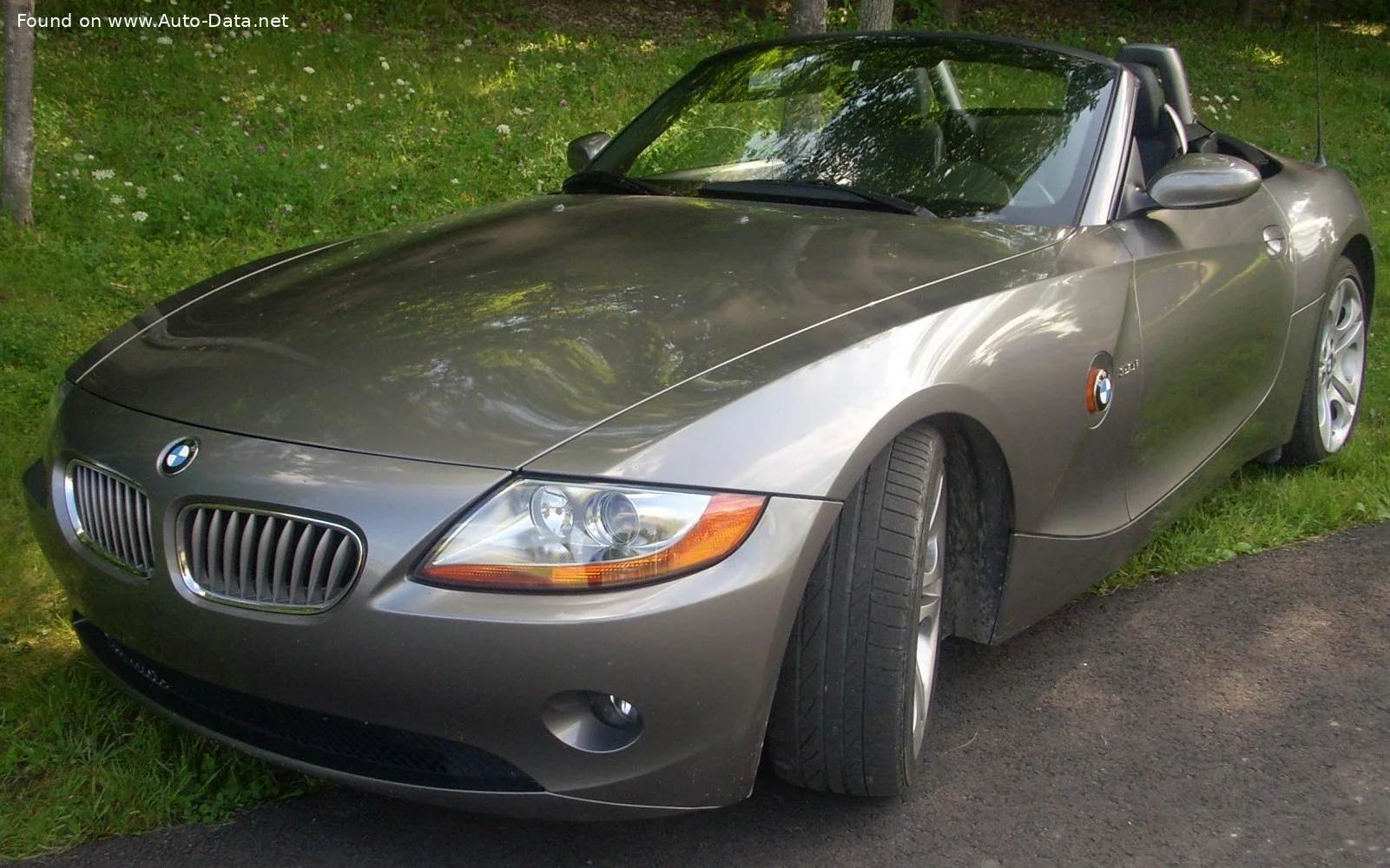 BMW Z4 BMW Z4 (E85)