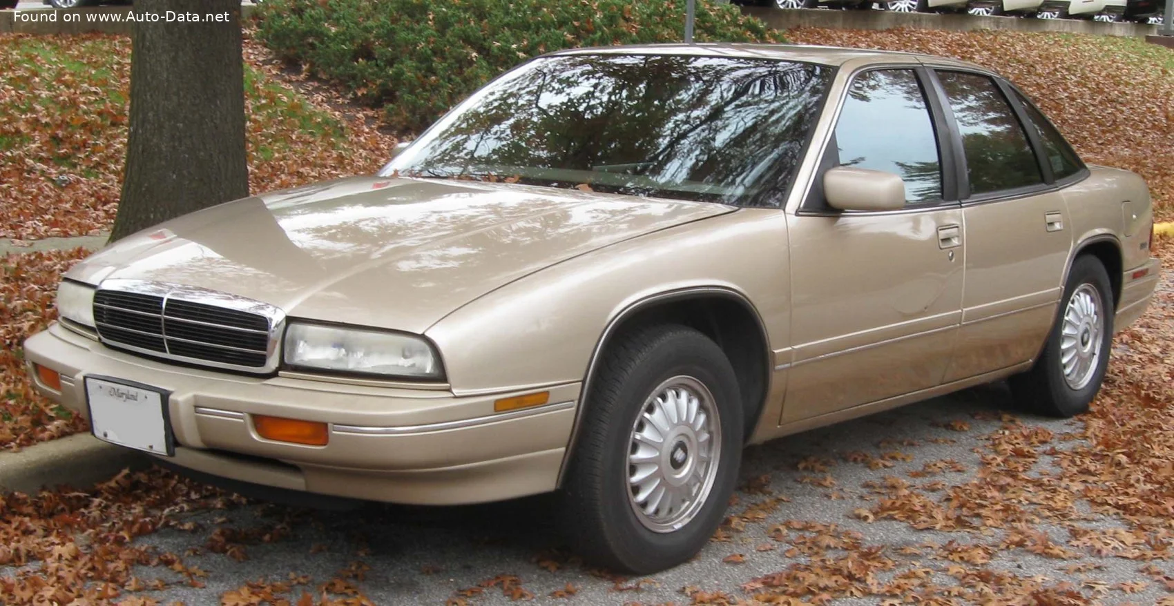 Buick Regal 3.1 V6 (137 Hp) Automatic1988 - 1996 thumbnail 2