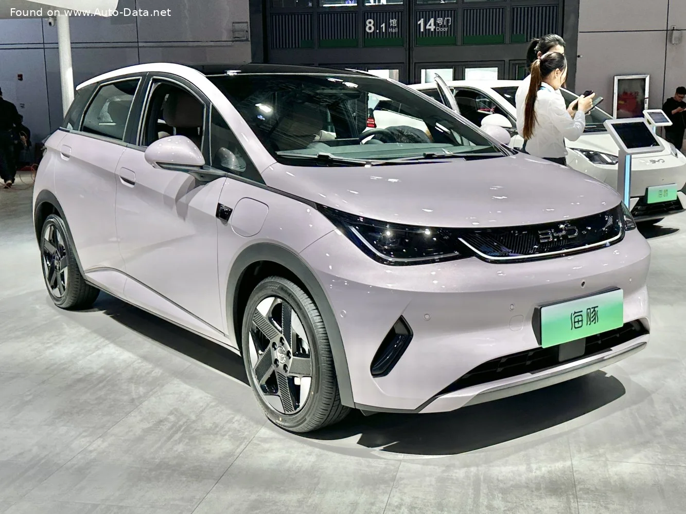 BYD Dolphin 45.12 kWh (177 Hp) Electric2025 - - 1