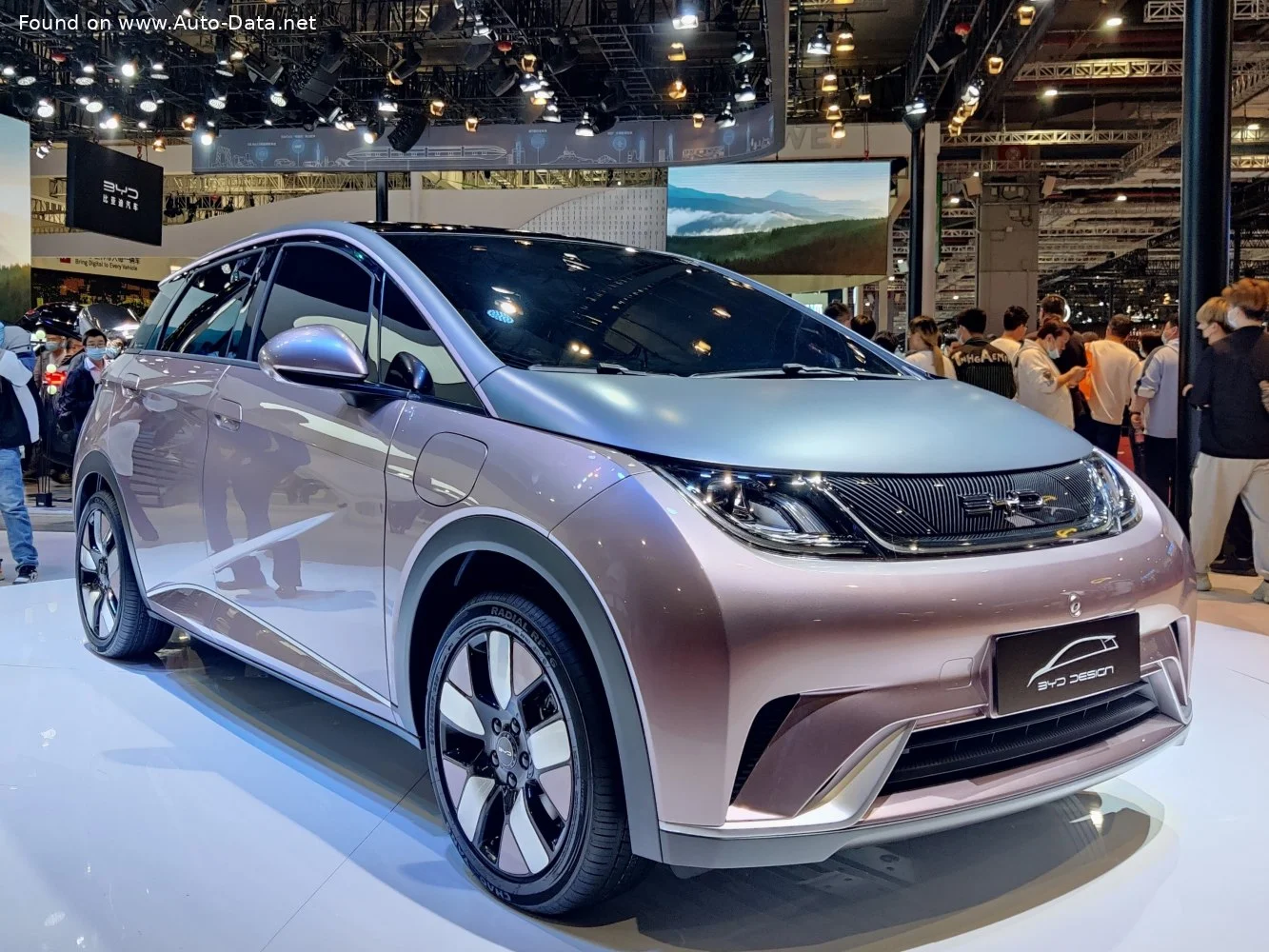 BYD Dolphin 44.9 kWh (177 Hp) BEV2021 - 2025 thumbnail 9