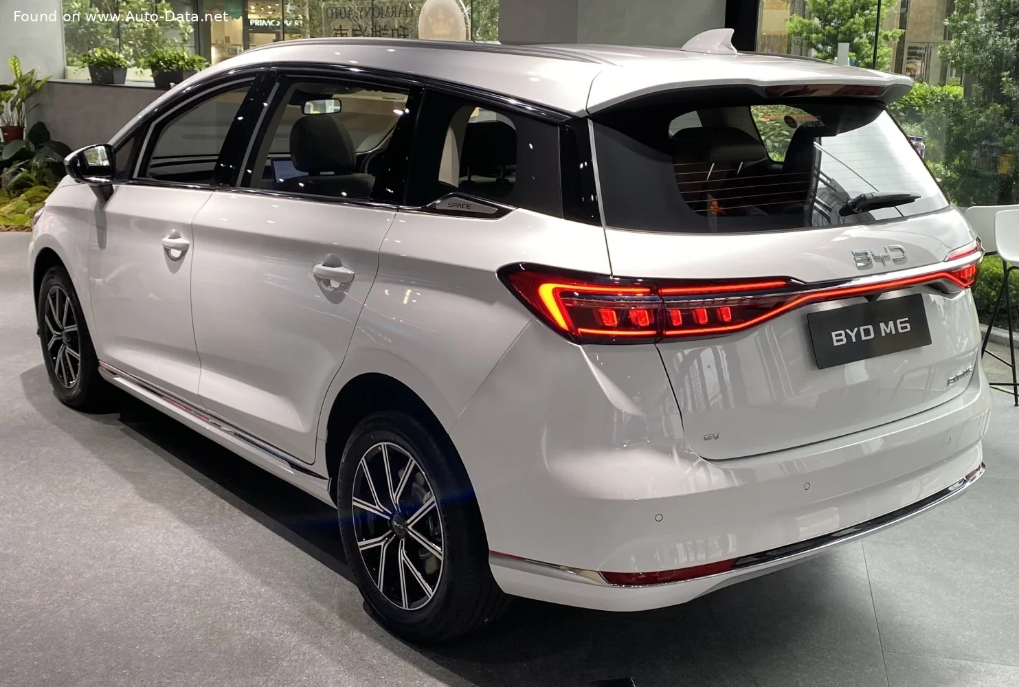BYD M6 55.4 kWh (163 Hp) Electric2024 - thumbnail 2
