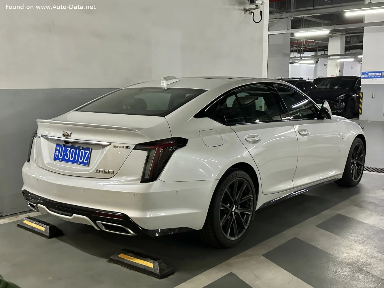 Cadillac CT5 2.0 (237 Hp) Automatic2024 - thumbnail 7