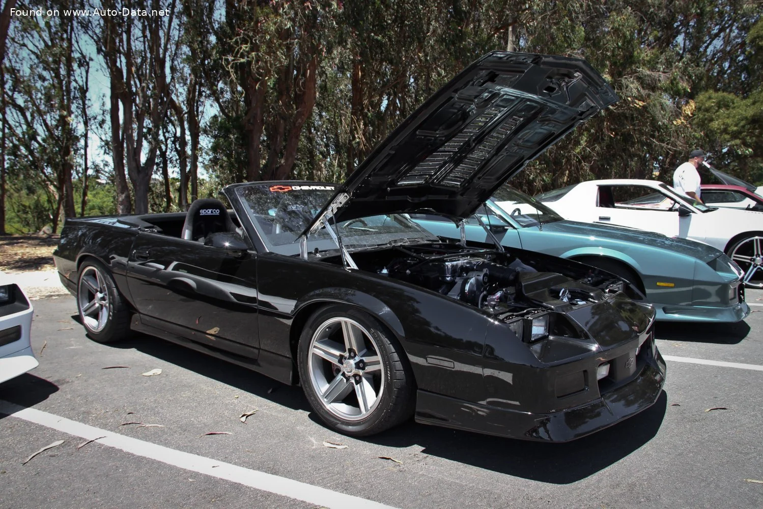 Chevrolet Camaro 5.0 V8 EFI (170 Hp)1987 - 1991 thumbnail 3