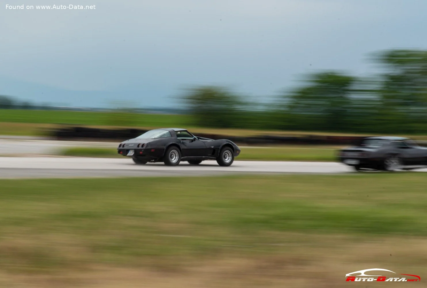 Chevrolet Corvette 5.7 V8 (190 Hp)1980 - 1982 thumbnail 12