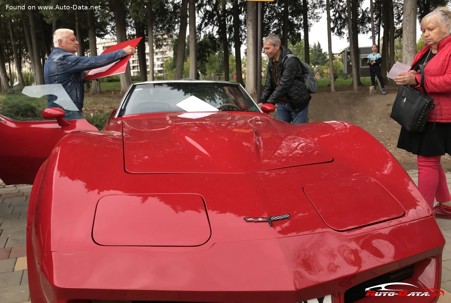 Chevrolet Corvette 5.7 V8 (190 Hp)1980 - 1982 thumbnail 5