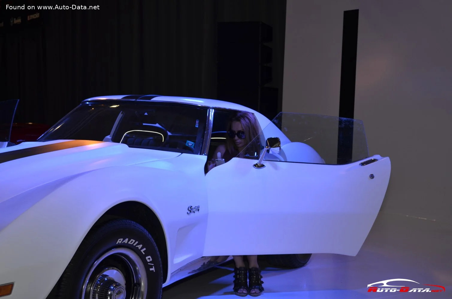 Chevrolet Corvette Chevrolet Corvette Coupe (C3) thumbnail 3