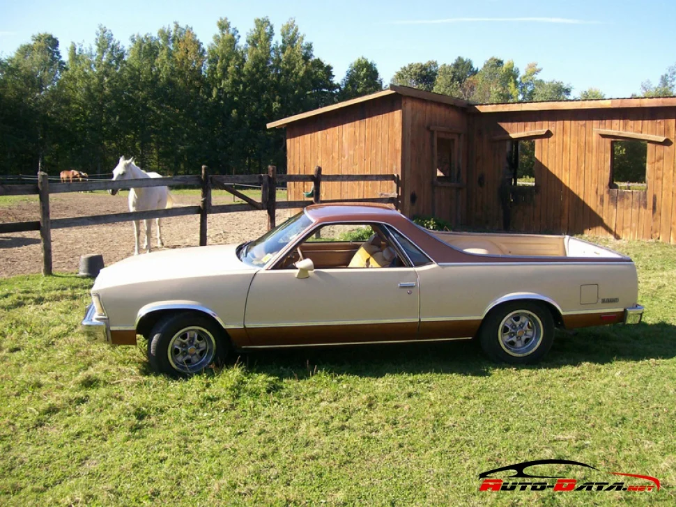 Chevrolet Malibu 3.3 V6 (94 Hp) CAT1978 - 1979 - 1
