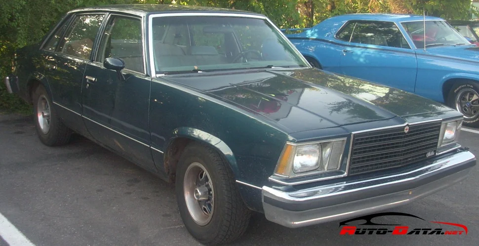 Chevrolet Malibu 3.3 V6 (94 Hp) CAT1978 - 1979 thumbnail 2