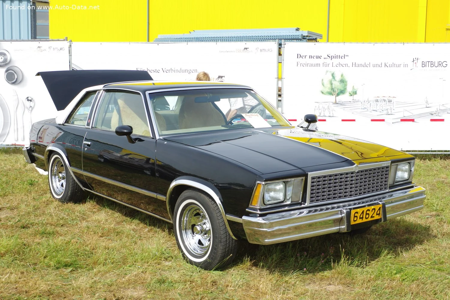 Chevrolet Malibu 3.3 V6 (94 Hp) CAT1978 - 1979 - 1