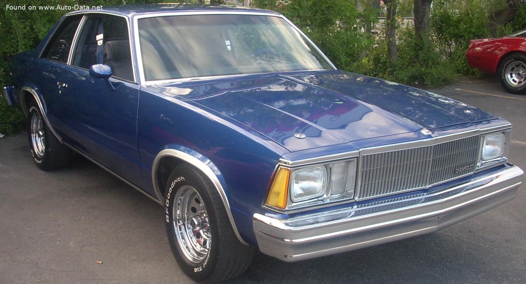 Chevrolet Malibu 3.3 V6 (94 Hp) CAT1978 - 1979 thumbnail 2