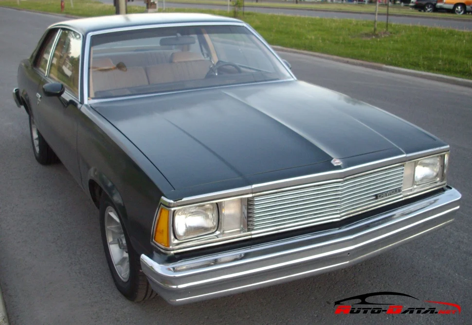 Chevrolet Malibu 3.3 V6 (94 Hp) CAT1978 - 1979 thumbnail 3