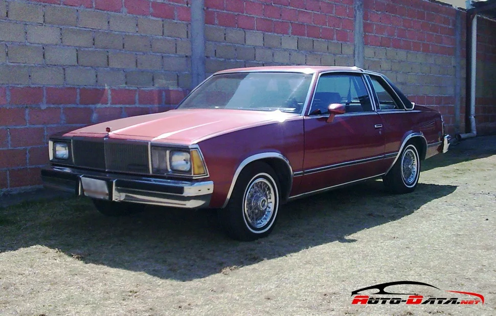 Chevrolet Malibu 3.3 V6 (94 Hp) CAT1978 - 1979 thumbnail 4